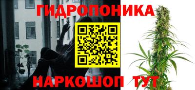 молекула духа Нальчик