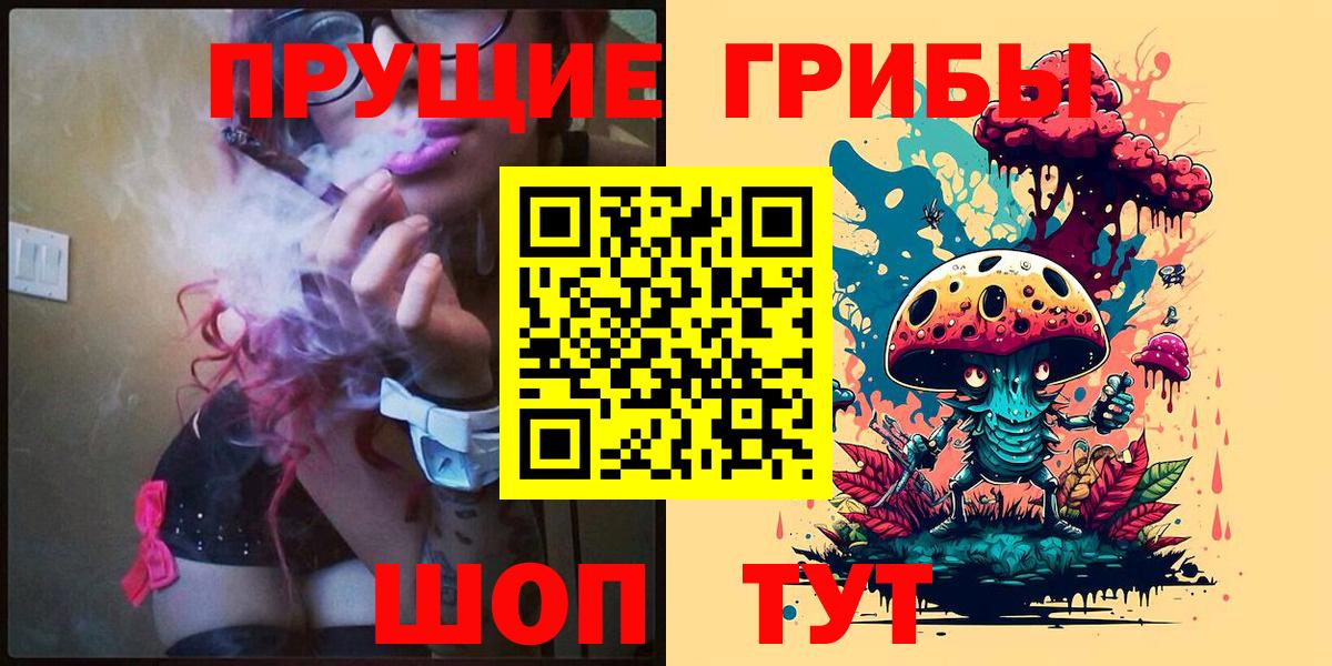 Алексин  Галлюциногенные грибы Psilocybe  как найти закладки  Вход с VPN 